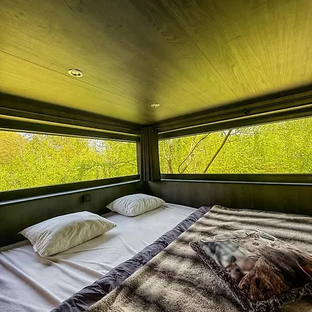 Wild Cube * Durbuy