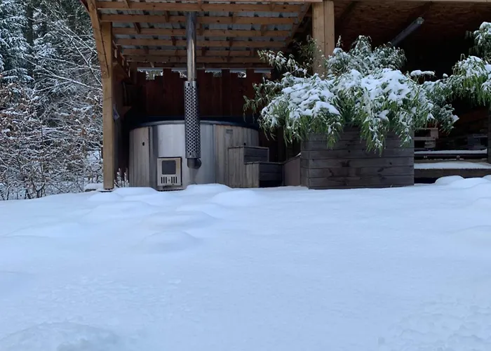 Wild Cube デュルビュイ