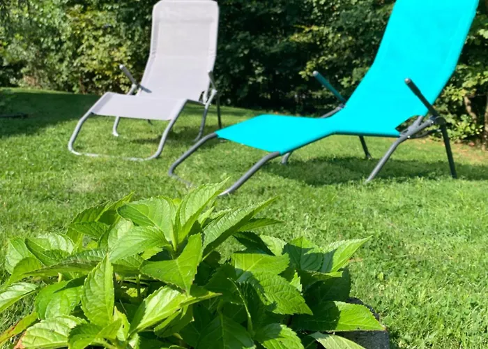 Wild Cube * デュルビュイ